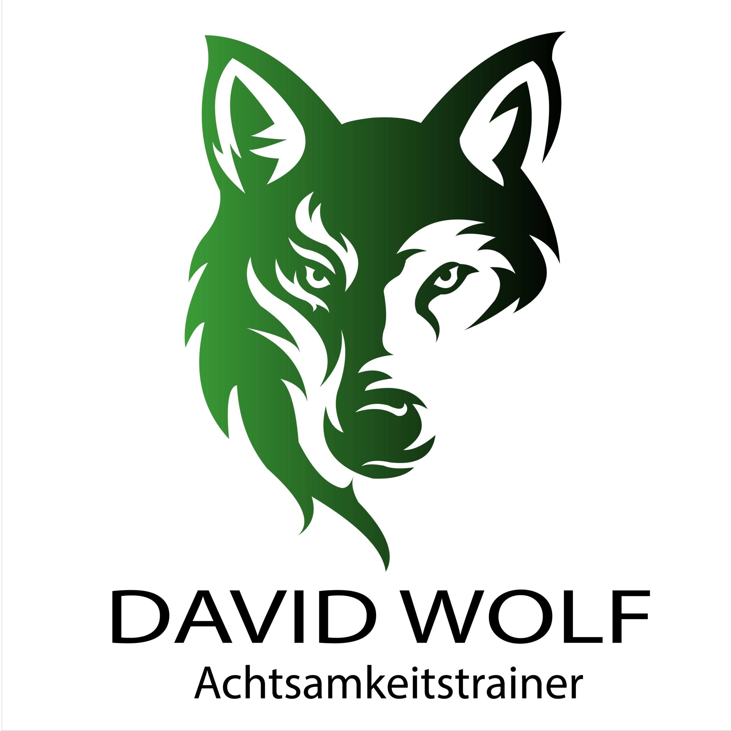 Achtsamer Wolf - David Wolf